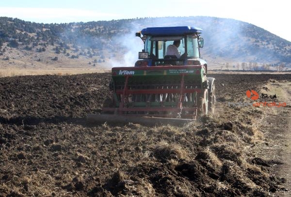 Büyükşehir tarım, hayvancılık ve arıcılığı destekliyor-2