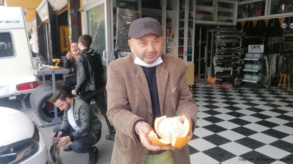 Tanesi 1 kilogramı geçen portakallar ne kadara satılıyor ?-3