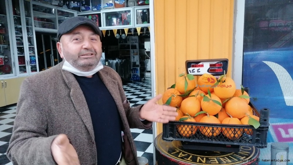 Tanesi 1 kilogramı geçen portakallar ne kadara satılıyor ?-5