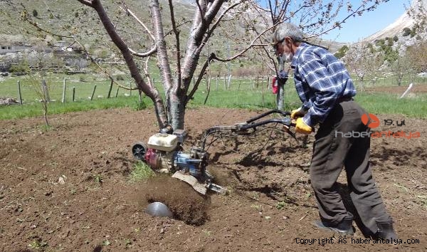 Antalya Büyükşehir’den bal üreticilerine destek