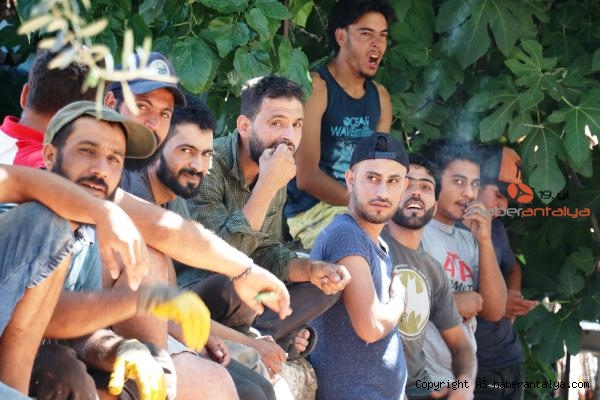 Antalya'da polis ve zabıtadan 'kötü görüntü' baskını-7