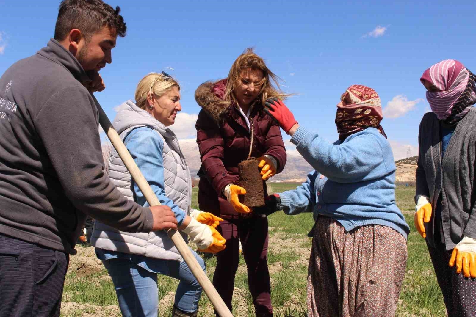 Antep fıstığı fidanları Elmalı'da toprakla buluşturuldu-1