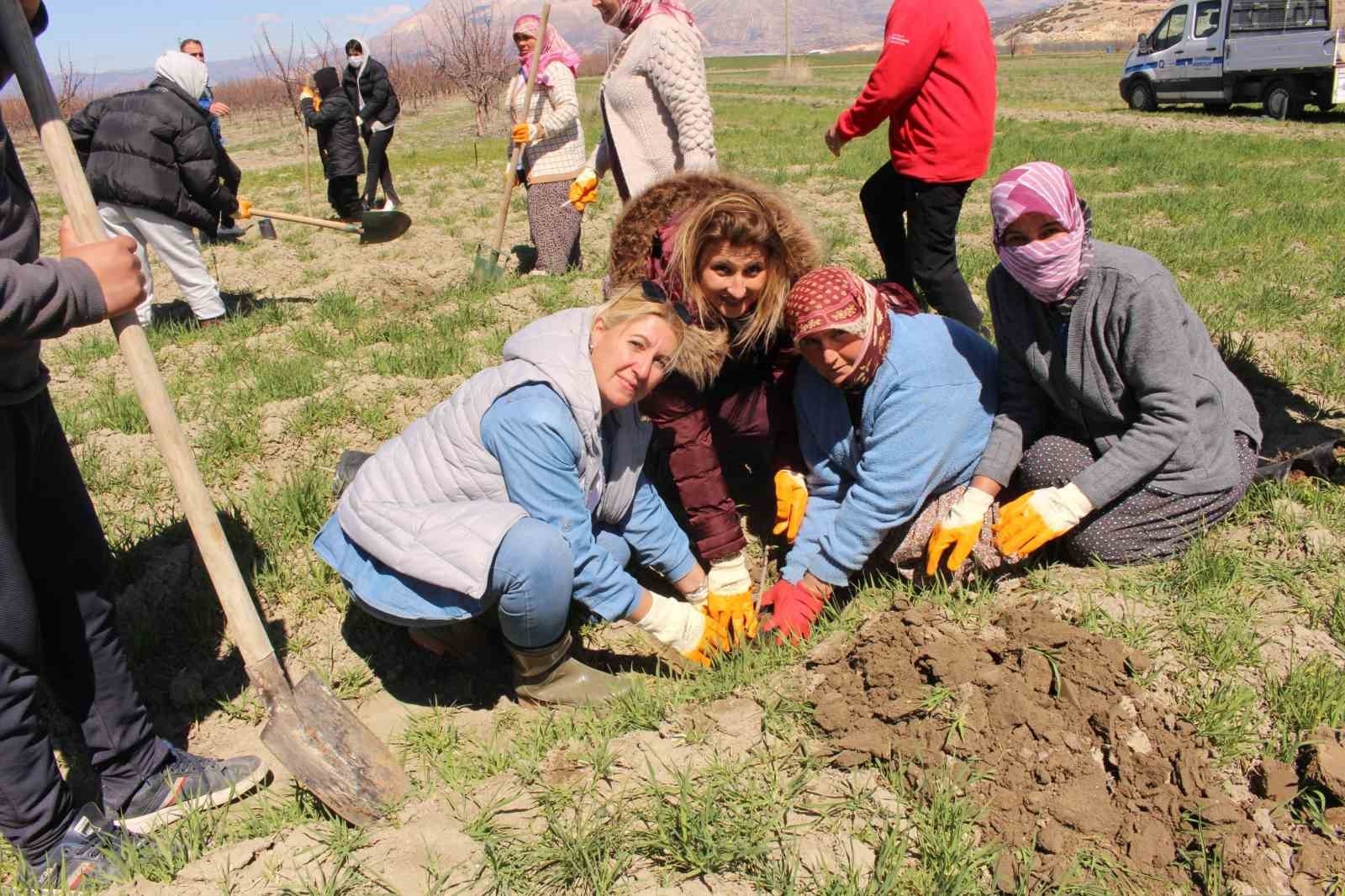 Antep fıstığı fidanları Elmalı'da toprakla buluşturuldu-2