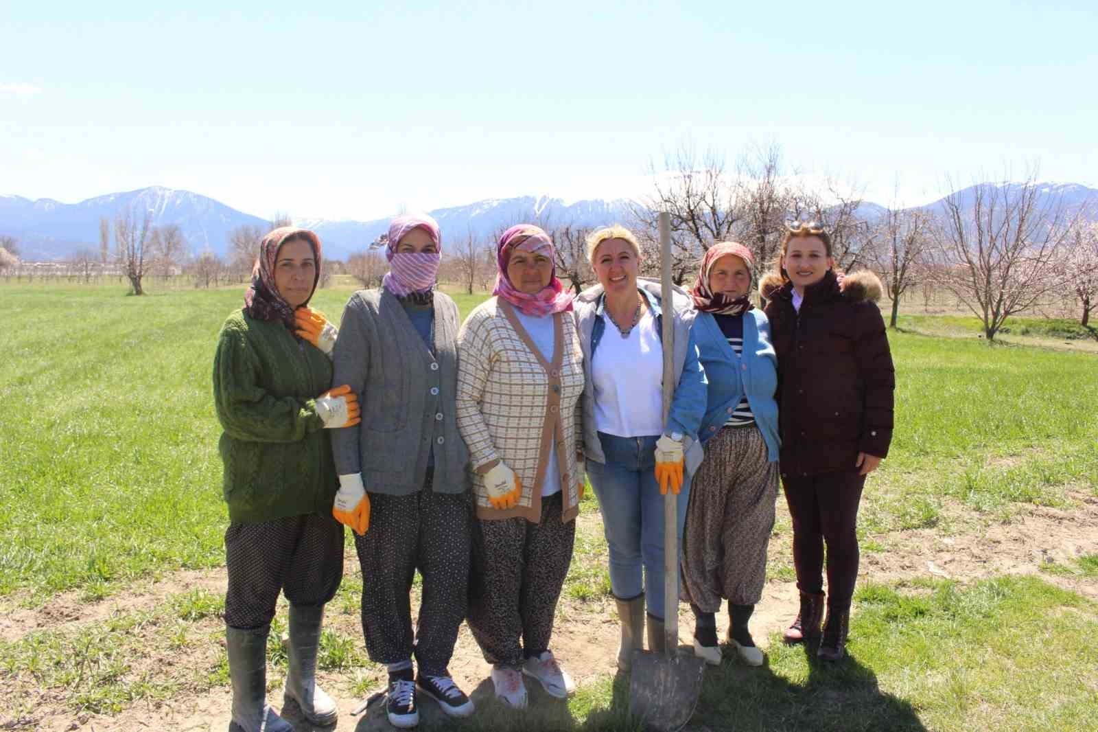 Antep fıstığı fidanları Elmalı'da toprakla buluşturuldu-4