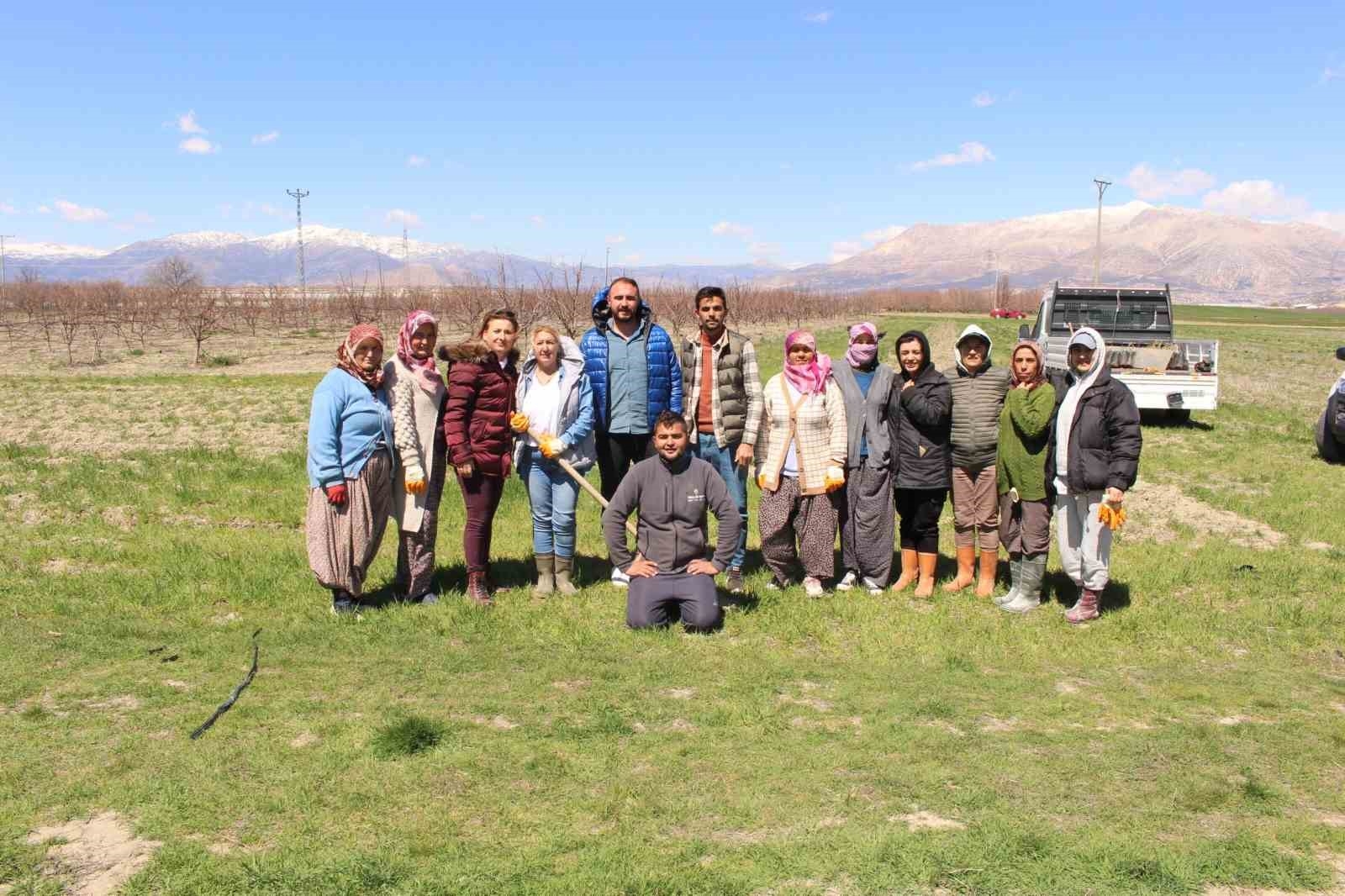 Antep fıstığı fidanları Elmalı'da toprakla buluşturuldu-5