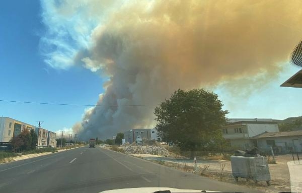 Çanakkale'de orman yangını -1