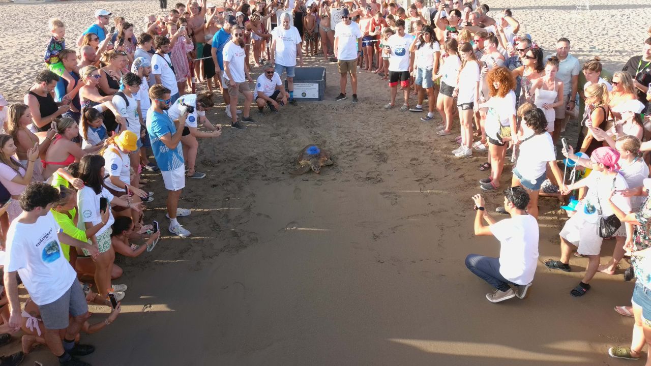 Ürettikleri ilk yerli uydu takip cihazı, caretta carettaya takıldı