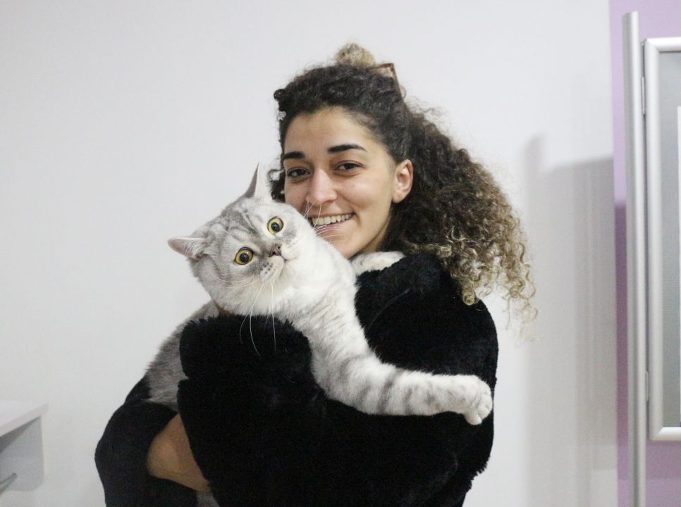 Anemi hastası kedi 'Nazlı', donör 'Casper'ın kanıyla sağlığına kavuştu