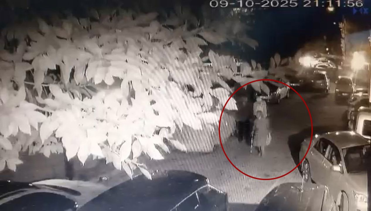 Kedinin bastonla vurularak öldürüldüğü iddiasıyla şikayetçi oldu