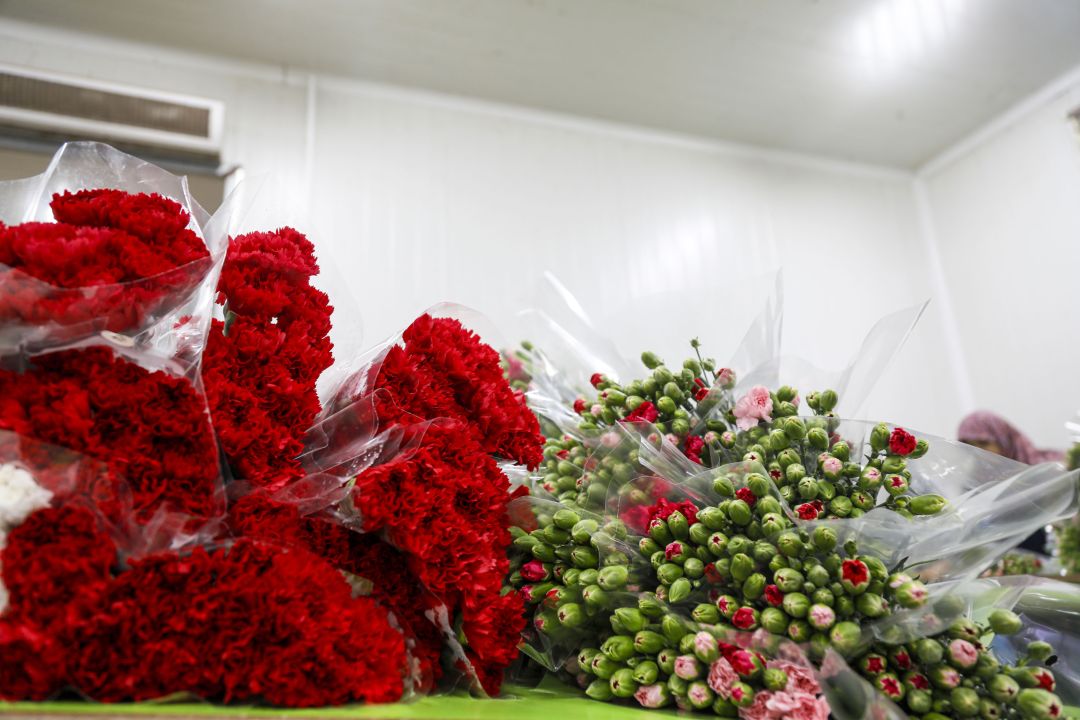 Çiçekte 10 aylık ihracat rekoru