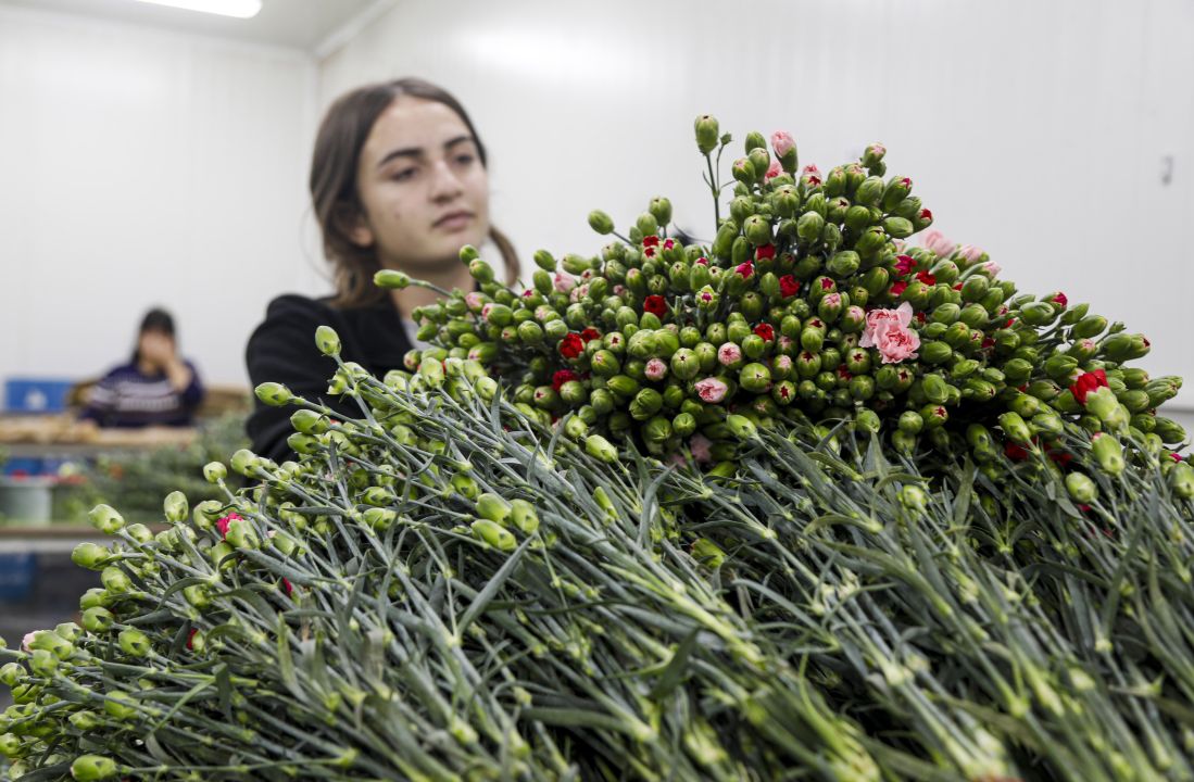 Çiçekte 10 aylık ihracat rekoru
