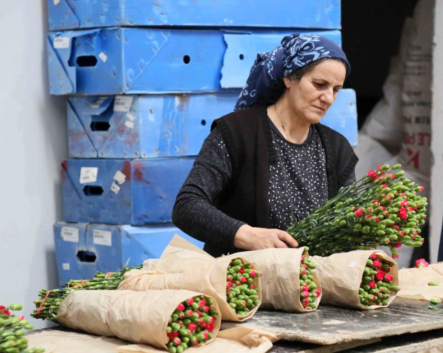 Türk çiçeğinde 160 milyon dolarlık ihracat rekoru