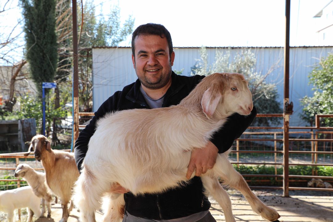 Verim artıyor, hastalık riski azalıyor
