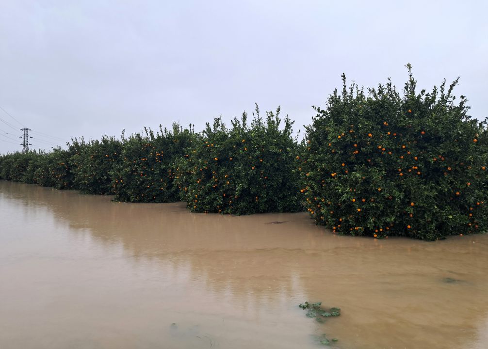 Aşırı hava olayları normalleşti; 1 yıl kuraklık, 1 yıl sel