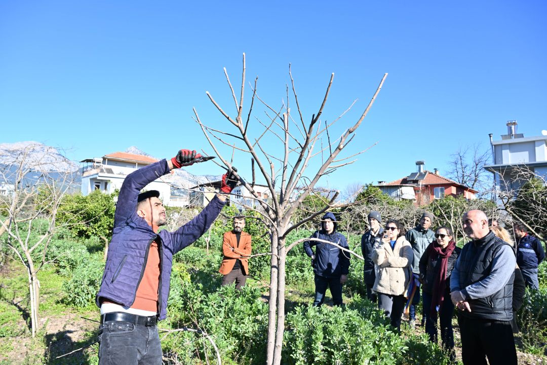 ATASEM’de uygulamalı ağaç budama eğitimi