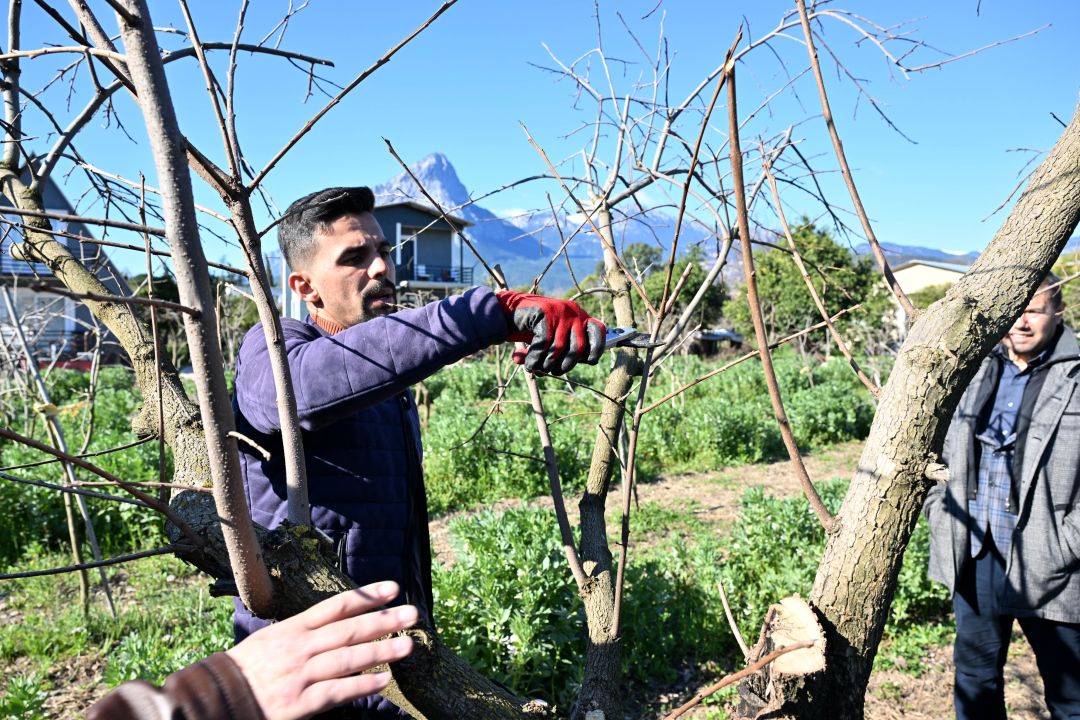 ATASEM’de uygulamalı ağaç budama eğitimi