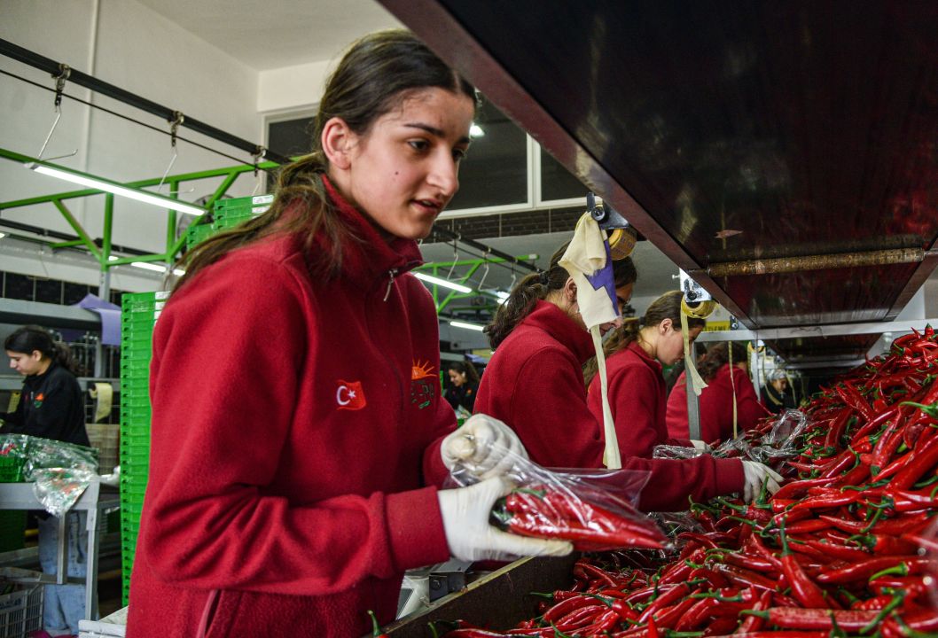 Türkiye'nin sebze tüketiminin yarısını karşılayan Antalya Hali'nden 64 ülkeye ihracat