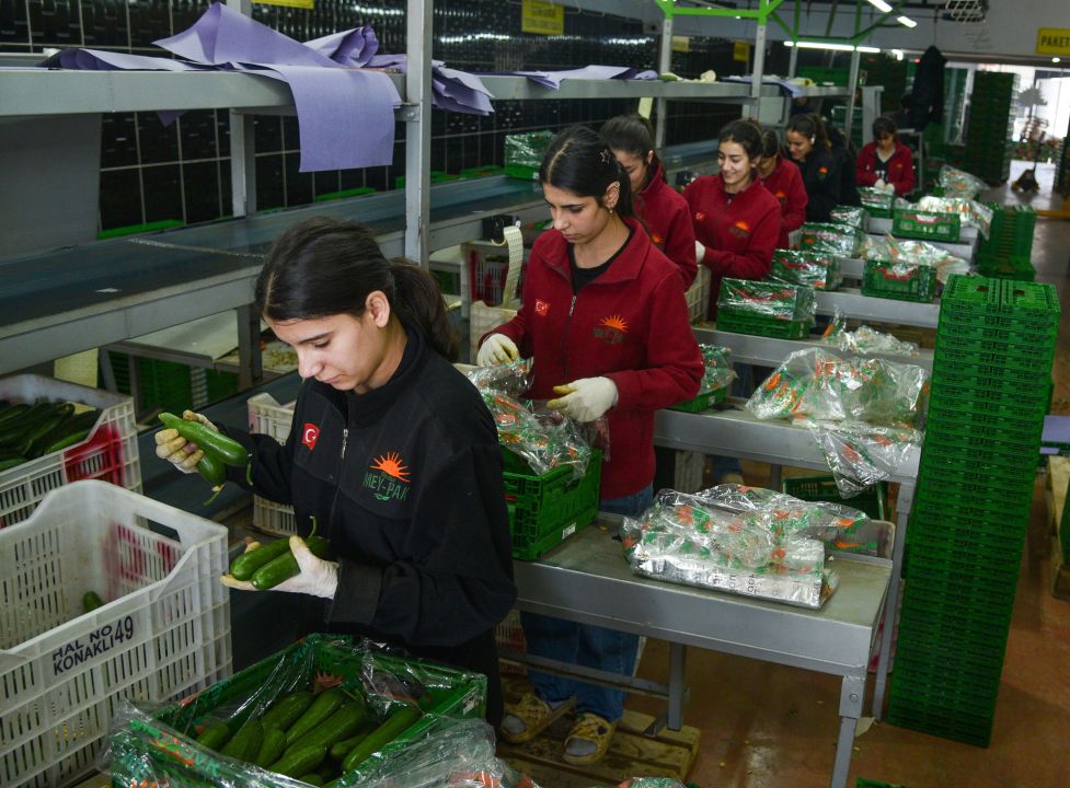 Türkiye'nin sebze tüketiminin yarısını karşılayan Antalya Hali'nden 64 ülkeye ihracat