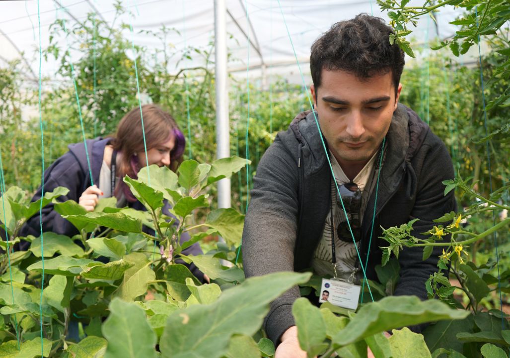 Psikiyatri hastaları hem tedavi görüyor hem para kazanıyor
