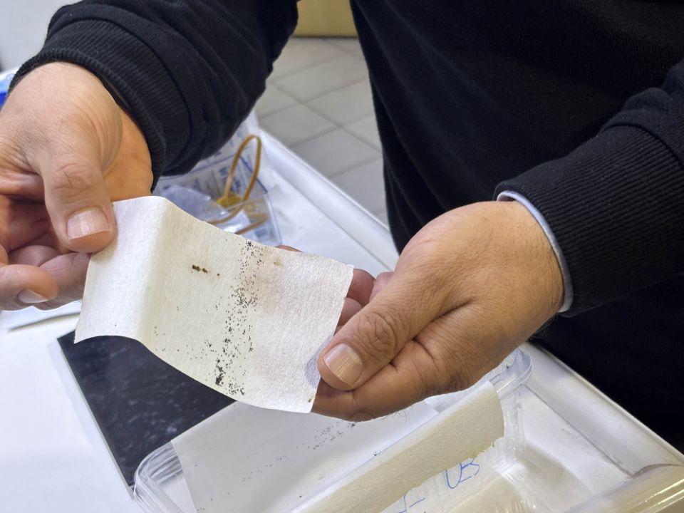 Antalya'da yoğun yağışlar sonrası sivrisinek alarmı