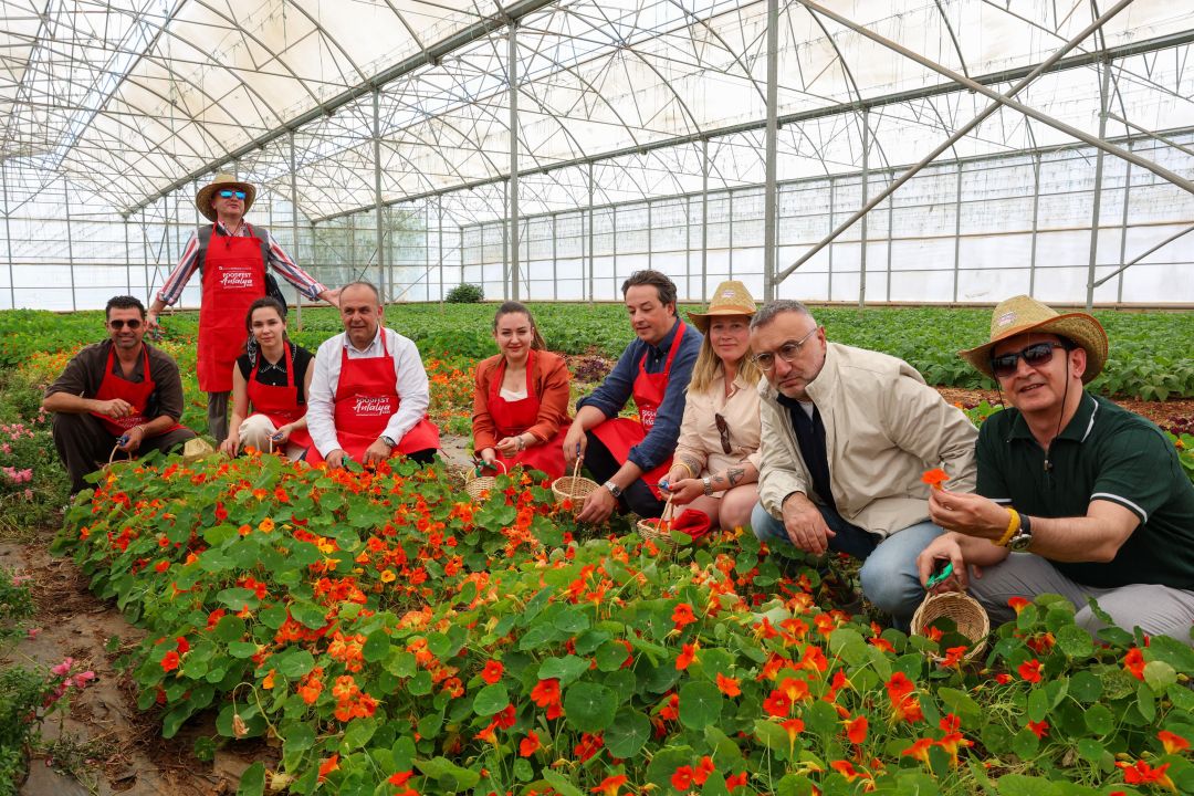 Antalya FoodFest Gastronomi Festivali'nde hasat etkinliği