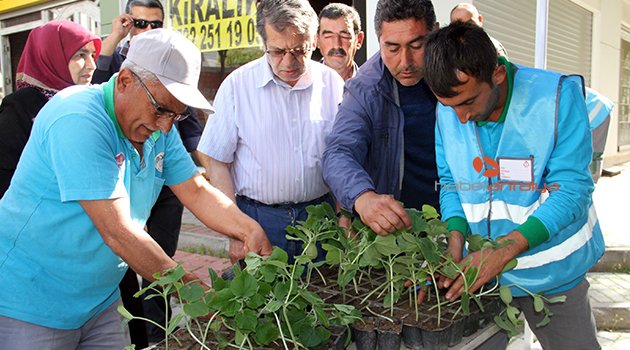 10 BİN ADET SU KABAĞI FİDESİ DAĞITILDI