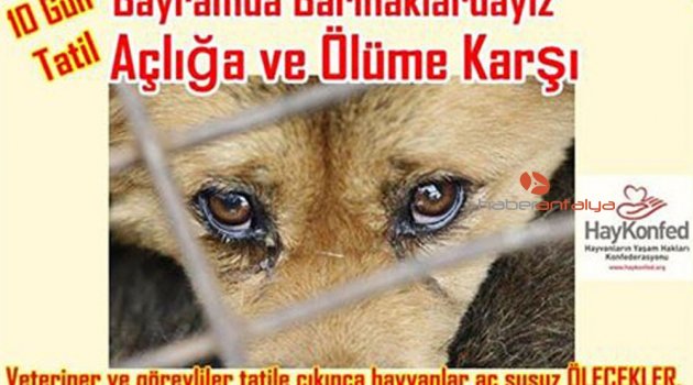 10 günlük tatilde hayvanlar ölmesin