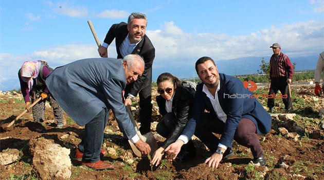 10 yılda 97 bin fidan dikti