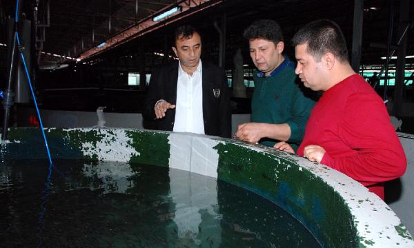 17 Milyon Yavru Balık Üretilecek