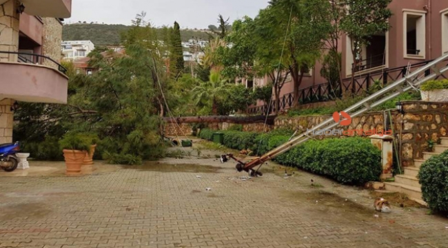 Fırtına, turizm merkezi Kalkan'da ağaçları devirdi, çatıları uçurdu 