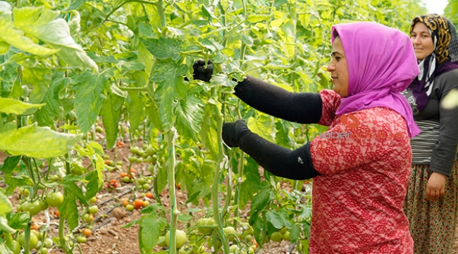 Halci ve üretici yüksek maliyet ve vergilerden yakındı