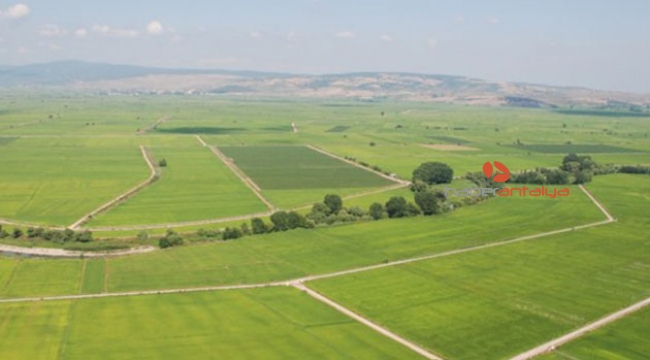 Milyonluk vurguna  hapis ve para cezası