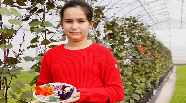 SEVGİLİYE 'yenilebilir çiçek'