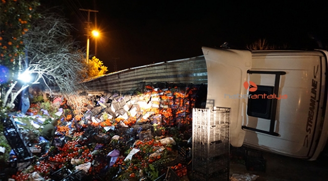 25 ton domates yüklü tır devrildi karayolu domates tarlasına döndü 
