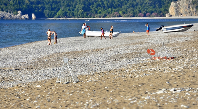 Caretta carettalar için 6 bekçi aranıyor
