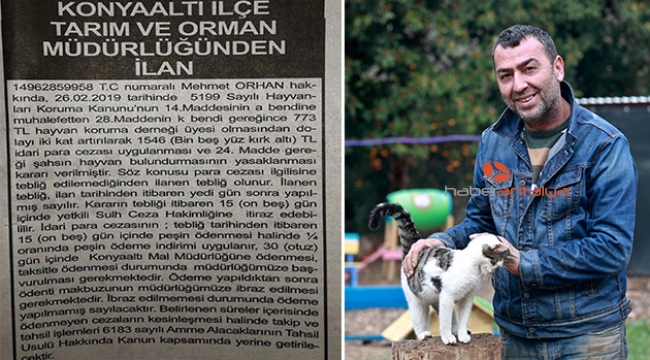 Hayvanları korumada emsal karar, ömür boyu hayvan sahiplenemeyecek