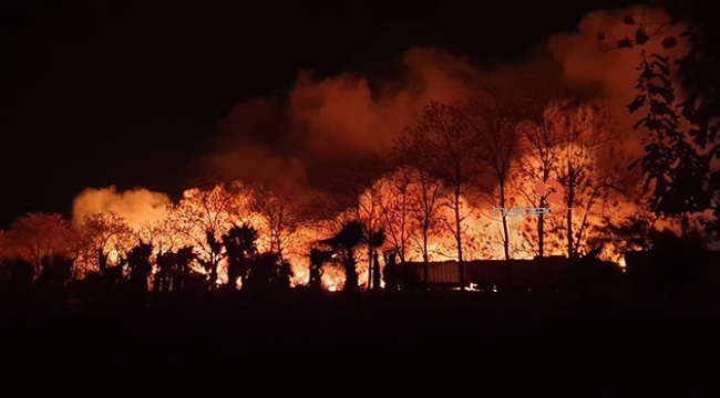 Kemer’de orman içindeki çöplükte yangın çıktı