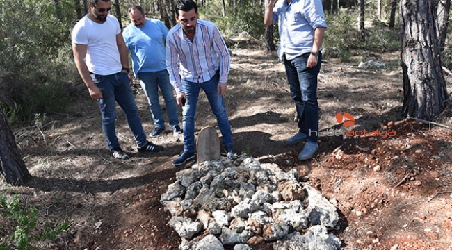 Ormandaki mezardan köpek ölüsü çıktı