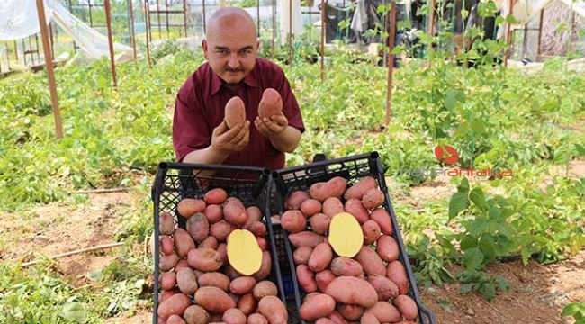 Annesi için ekti, fiyatı ve ilgiyi görünce üretime yöneldi 