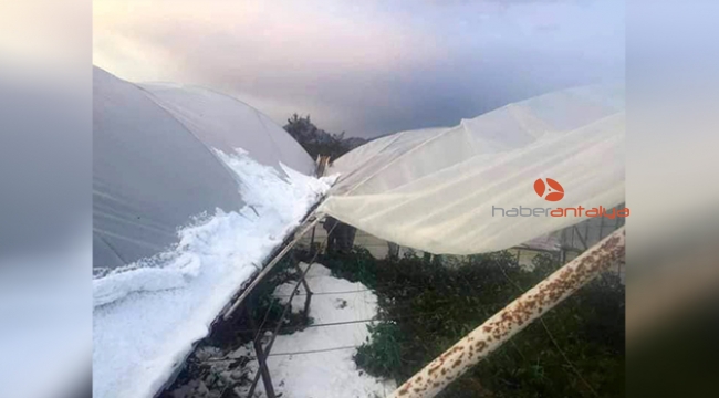 Antalya’da çiftçiyi dolu vurdu