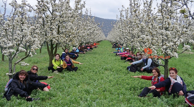 Bahçelerde çiçek şöleni