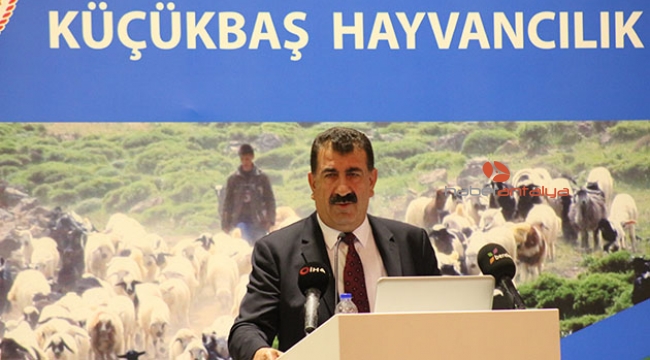 "Bayramda tanzim merkezler kurulmalı"