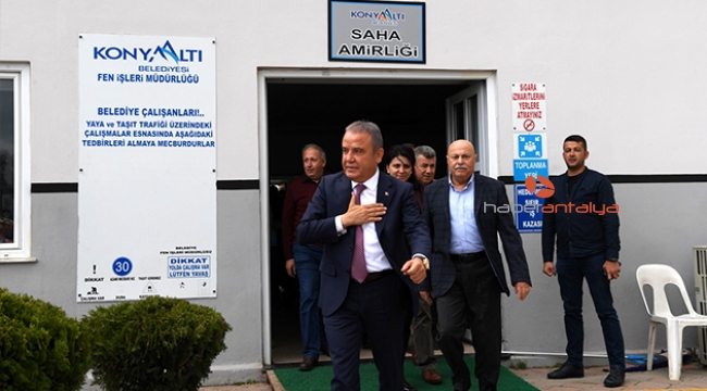 Böcek, Büyükşehir'e doğru yola çıktı