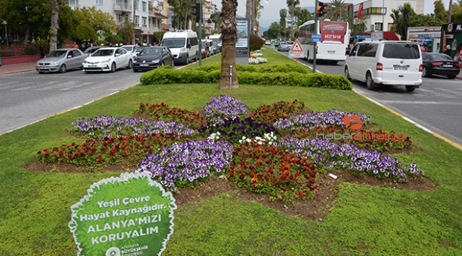 Büyükşehirden Alanya’ya 300 bin çiçek