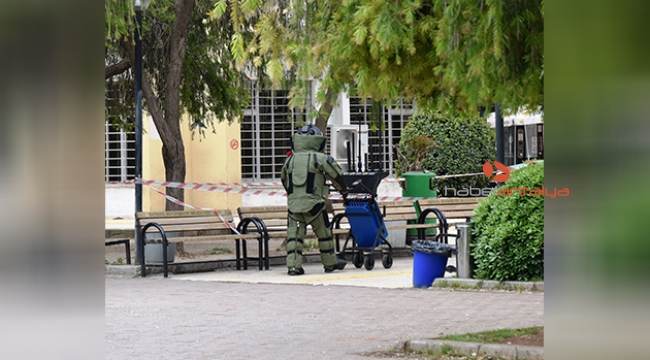 Kütüphane önündeki ağaca asılı kablolar... 