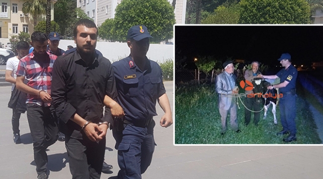 Arkadaşlarıyla beraber babasının ineğini çaldı 