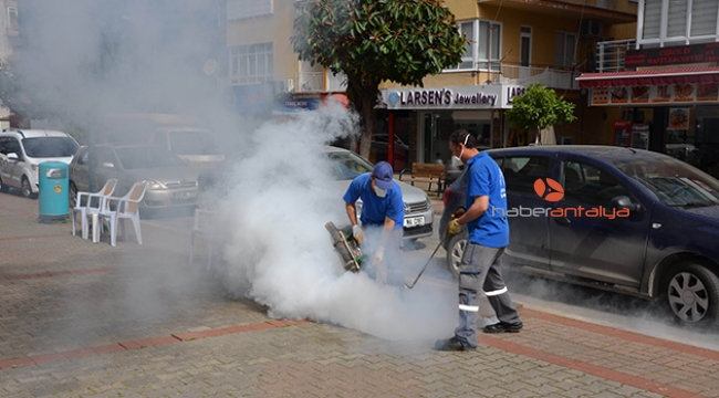 Büyükşehirden sinekle mücadele 