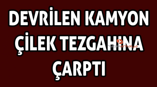 Devrilen kamyon çilek tezgahına çarptı 