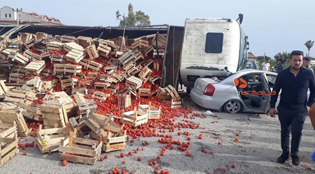 Domates yüklü kamyon otomobilin üzerine devrildi 