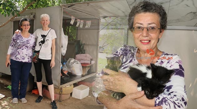 Lüks siteyi ikiye bölen karavan